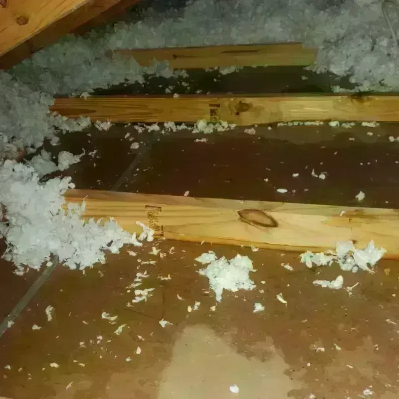 Attic Water Damage in Midland, MI