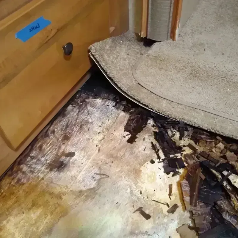 Wood Floor Water Damage in Midland, MI